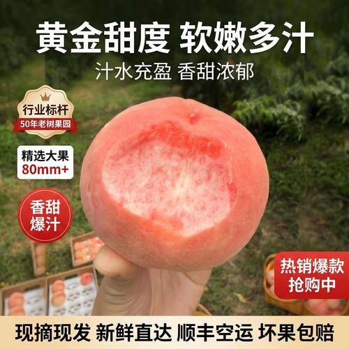 果子猴正宗成都龙泉驿水蜜桃软桃脆桃应季水果生态种植产地直发顺丰